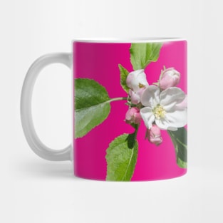 Apple blossom Mug